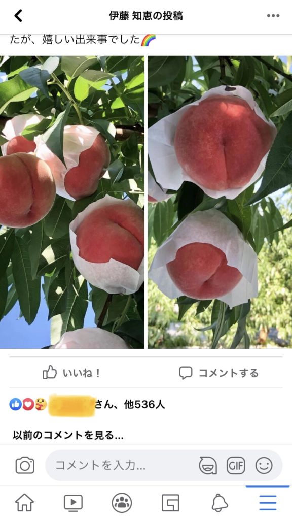 Facebookに投稿した桃の画像