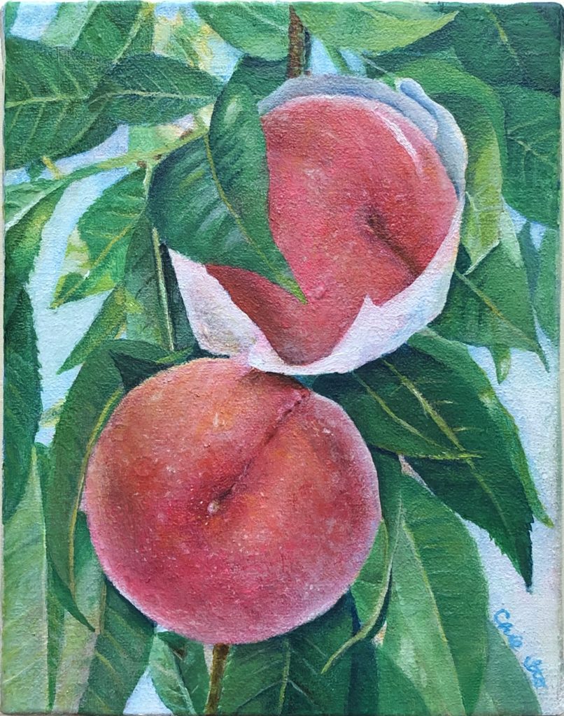 桃の絵の完成